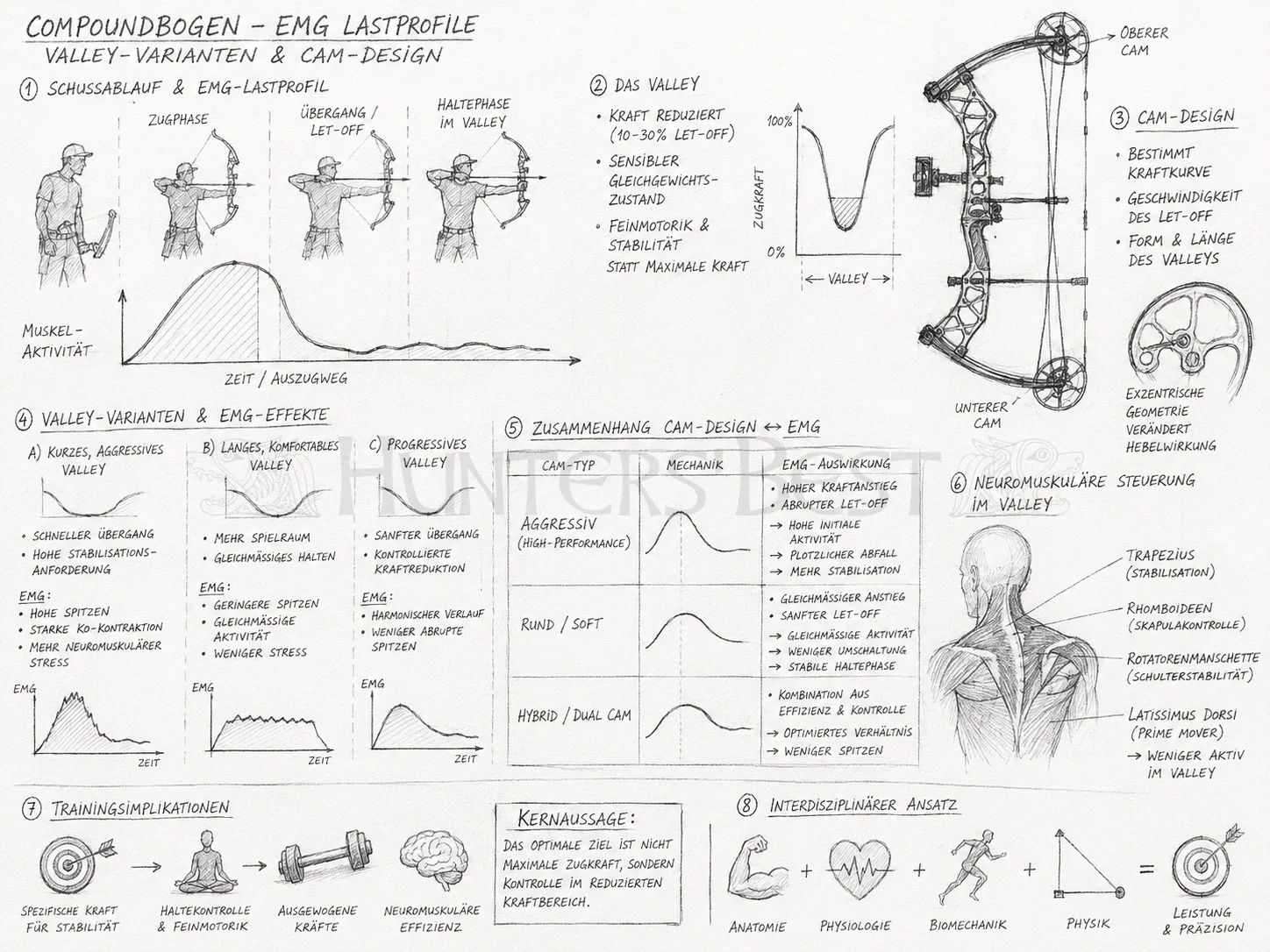 Theoretische Grundlagen der EMG-Lastprofile bei Valley-Varianten unter besonderer Berücksichtigung des Cam-Designs von Compoundbögen_ergebnis